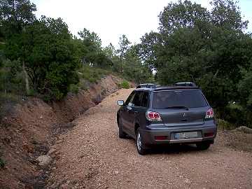 Outlander auf dem Waldweg - Ansicht von hinten. 