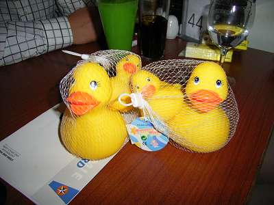 Die Rubber Ducks. 